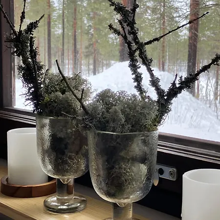 Kitka Riverview Apartment Kuusamo