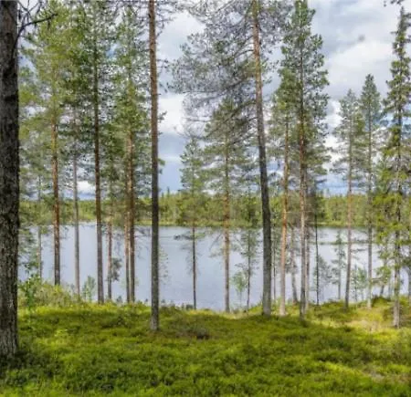 Appartamento Kitka Riverview Retreat With Sauna Kuusamo