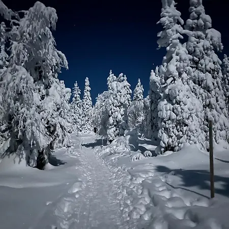 Apartmán Kitka Riverview Retreat With Sauna *