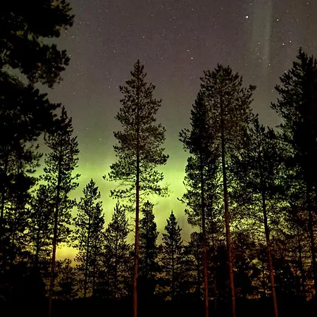 Kitka Riverview Retreat With Sauna 公寓