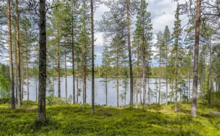 Apartment Kitka Riverview Retreat With Sauna Kuusamo