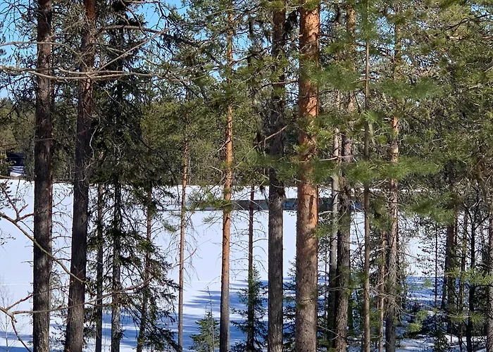 Kitka Riverview Retreat With Sauna Apartment