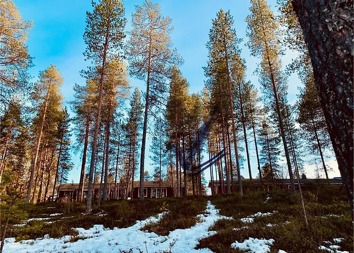 Kitka Riverview Retreat With Sauna