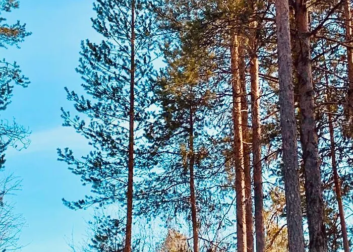 Kitka Riverview Retreat With Sauna Apartment