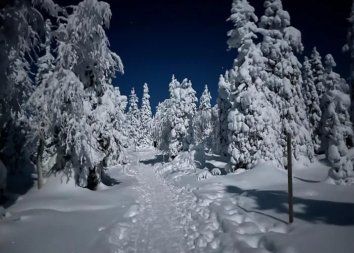 Apartment Kitka Riverview Retreat With Sauna *