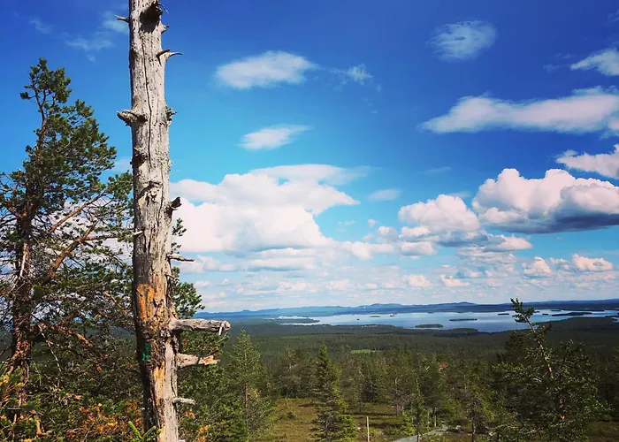 Kitka Riverview Retreat With Sauna Apartment Kuusamo